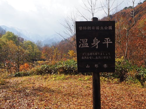 最大限の秋を感じながら...!