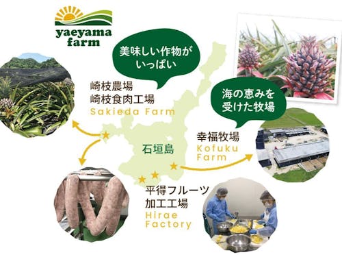 石垣島　八重山ファーム全体像