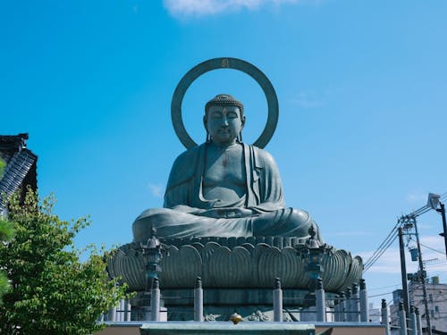 amida coffeeは高岡大仏のすぐ横にあります！