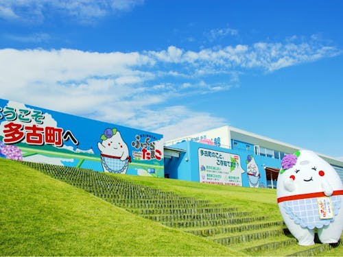 道の駅多古と多古町のマスコットキャラクター「ふっくらたまこ」