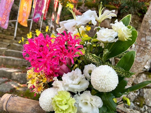 途中立ち寄ったお寺で。（2023.11）