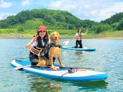 犬連れで参加できるSUPもあります🚢