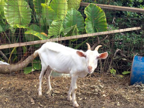視点①:暮らしの隣にある、小さな楽園。- 趣味農体験 -