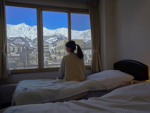 客室からの景色