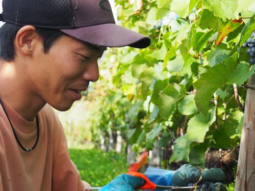 農業未経験、北海道外からのスタッフも第一線で働いています