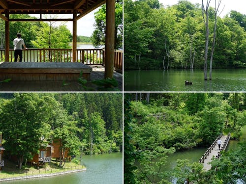 エコパークの自然