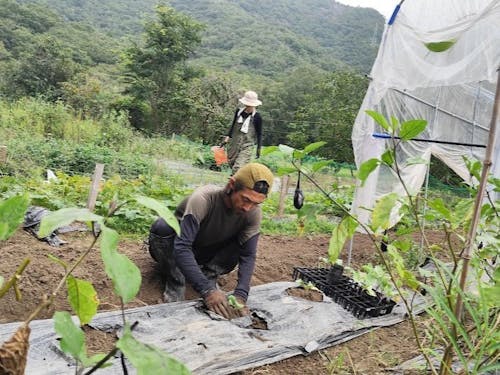 山に囲まれた畑です