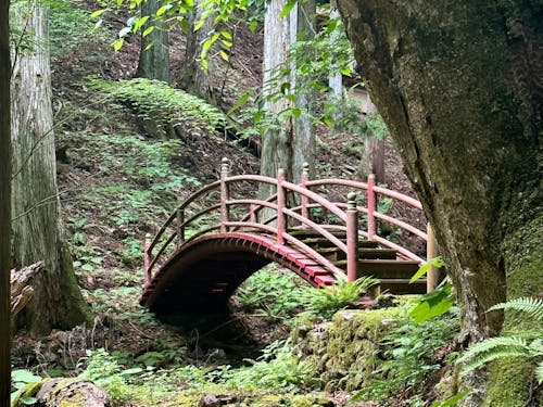 みちのく潮風トレイル
