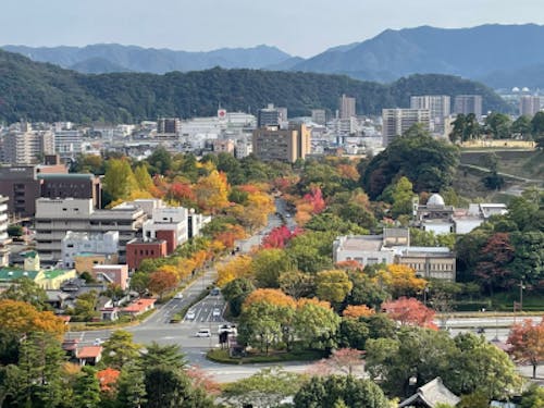 山口市 パークロード