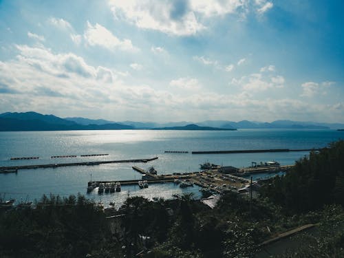 大島の“いろは坂”から本土を望む絶景