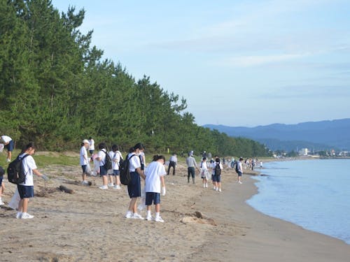 柳田地区の海岸線の清掃活動の様子