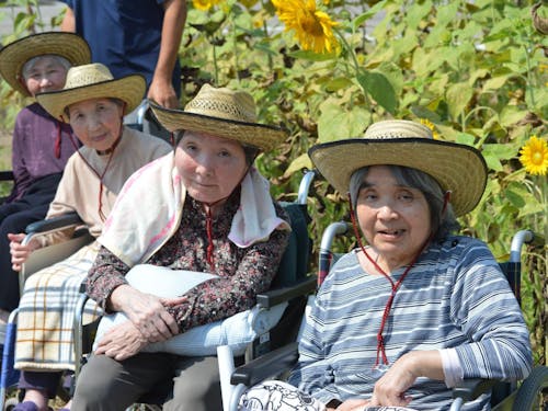 ひまわり畑のイベントを楽しむ地元参加者