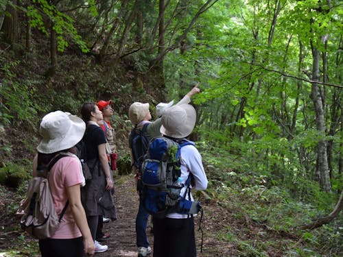 森林セラピーの様子