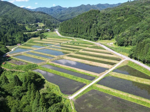 甲津原の棚田風景