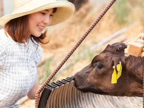 子牛を預かり育成する「キャトルステーション」