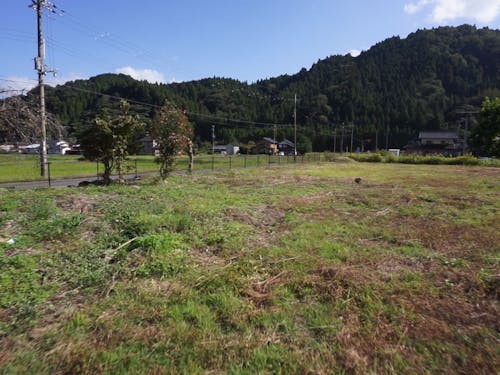 母屋の隣にある広大な空きスペース