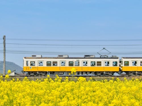 四季折々の風景の中を走ることでん
