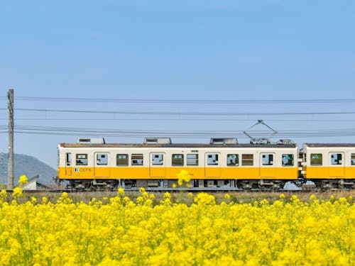 四季折々の風景の中を走ることでん