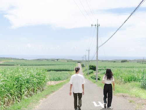 のどかな風景に癒されます。