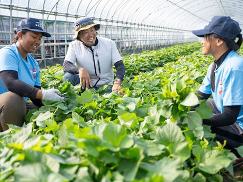 「子どもの笑顔のために農業をしています」素敵な農家さんが味方です!