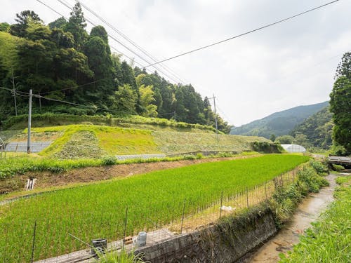 脊振の暮らしを、あなたらしく動画にしてください