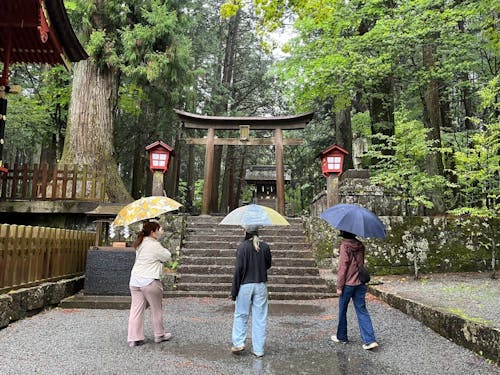 まち案内で「ふじよしだ暮らし」を発見