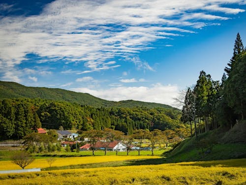 今年最後のツアー!里山で癒されませんか?