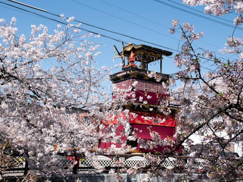 満開の桜の中で堂々とたたずむ山車の姿