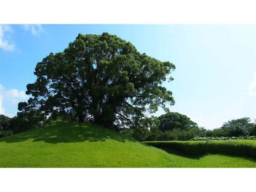 歴史と自然が息づく和水町に、あなたの新しい風を届けてください!