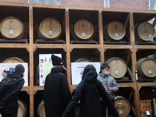 お試し就業で地域での仕事のイメージも(ワインづくり)