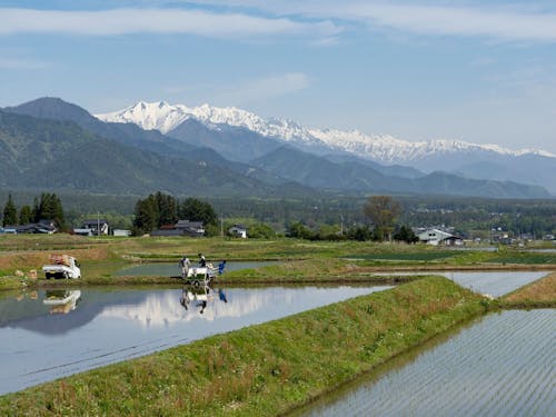 安曇野市は長野県１の米どころ