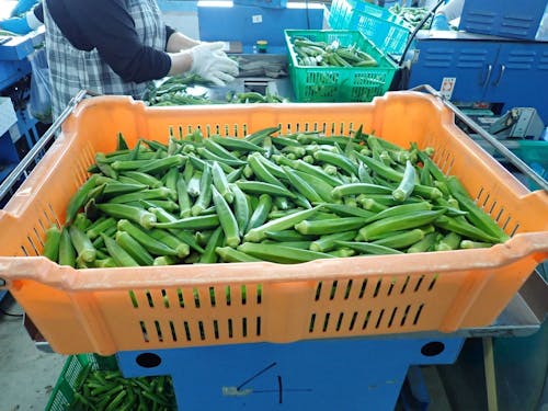 【働き先】高知県農業協同組合 中芸営農センター安田事業所