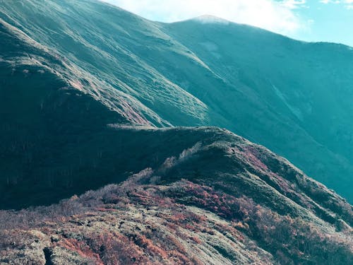 山が近い暮らし、お好きですか。