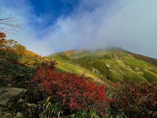 誰かが歩いた道もいいけど、自分の描いた道を歩きたくないですか？