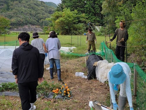 山に囲まれた畑です