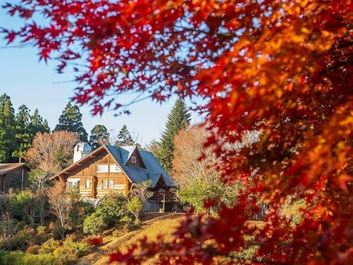 森に囲まれた、というより森の中のキャンプ場『池の窪グリーンパーク』