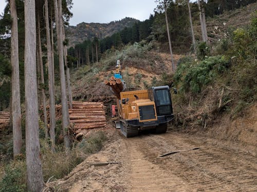 林業作業の見学も予定