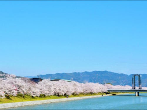 山口県東部に位置する田布施町