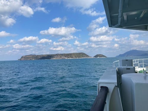 船から見える大島