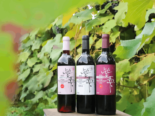 野田村の山ぶどうとワイナリーで作られているワイン