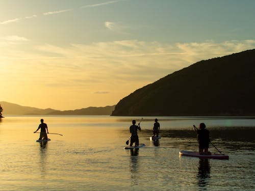 忙しい日も美しい景色に癒されます✨