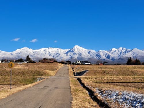 冬の茅野市も最高!
