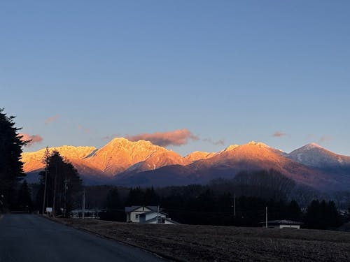 日常のふとした景色がきれい