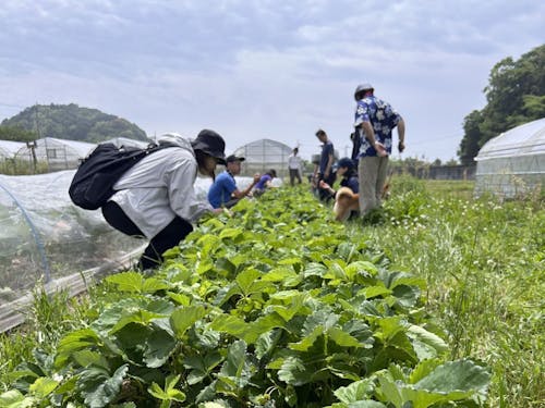 収穫を通じた地域のふれあいまでサポートします!
