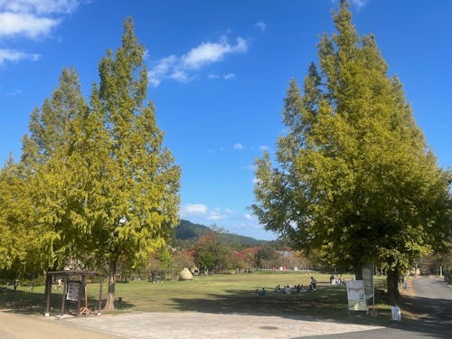 ゆったり過ごせる広大な自然