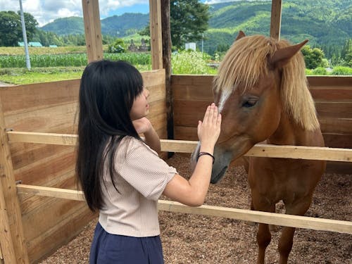 日常的に馬とふれあう暮らし