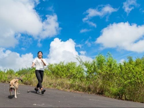 ワークバランスをとりながら、自然豊かな場所で暮らす