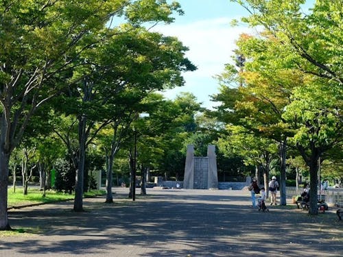 広い公園でリラックス