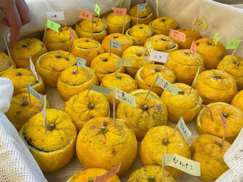 参加者それぞれの柚餅子が完成!