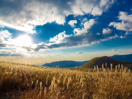 草原景観も阿蘇のみどころ